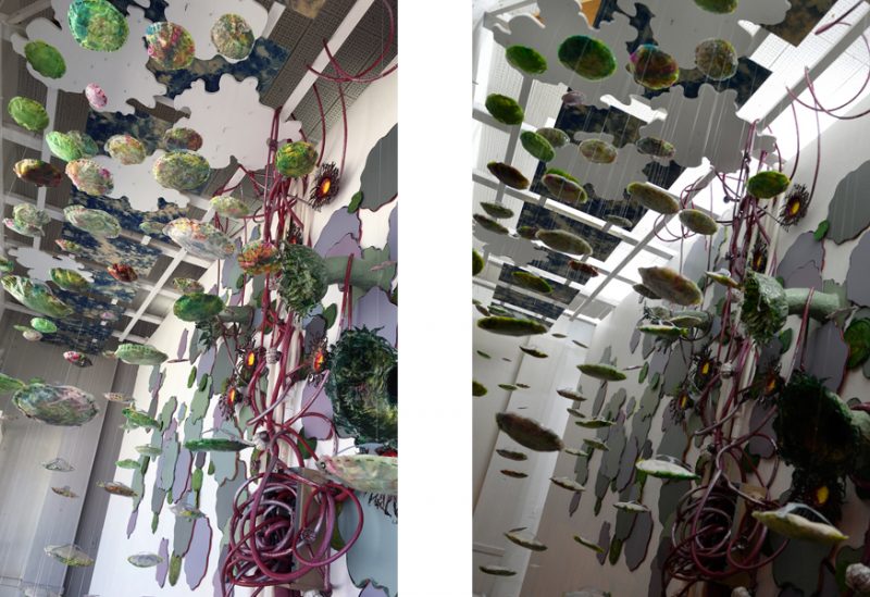 Overhead detail of Dispersal (site-specific art installation) by Laura Latimer