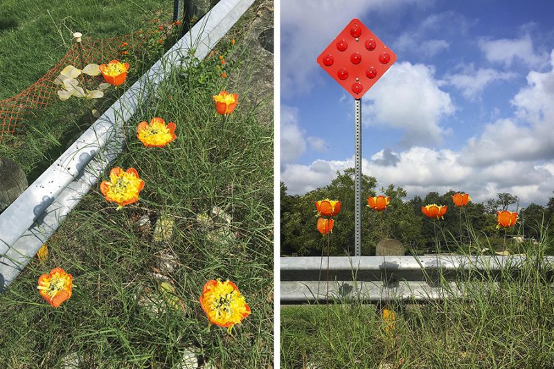 Environmental installation by sculptor Laura Latimer